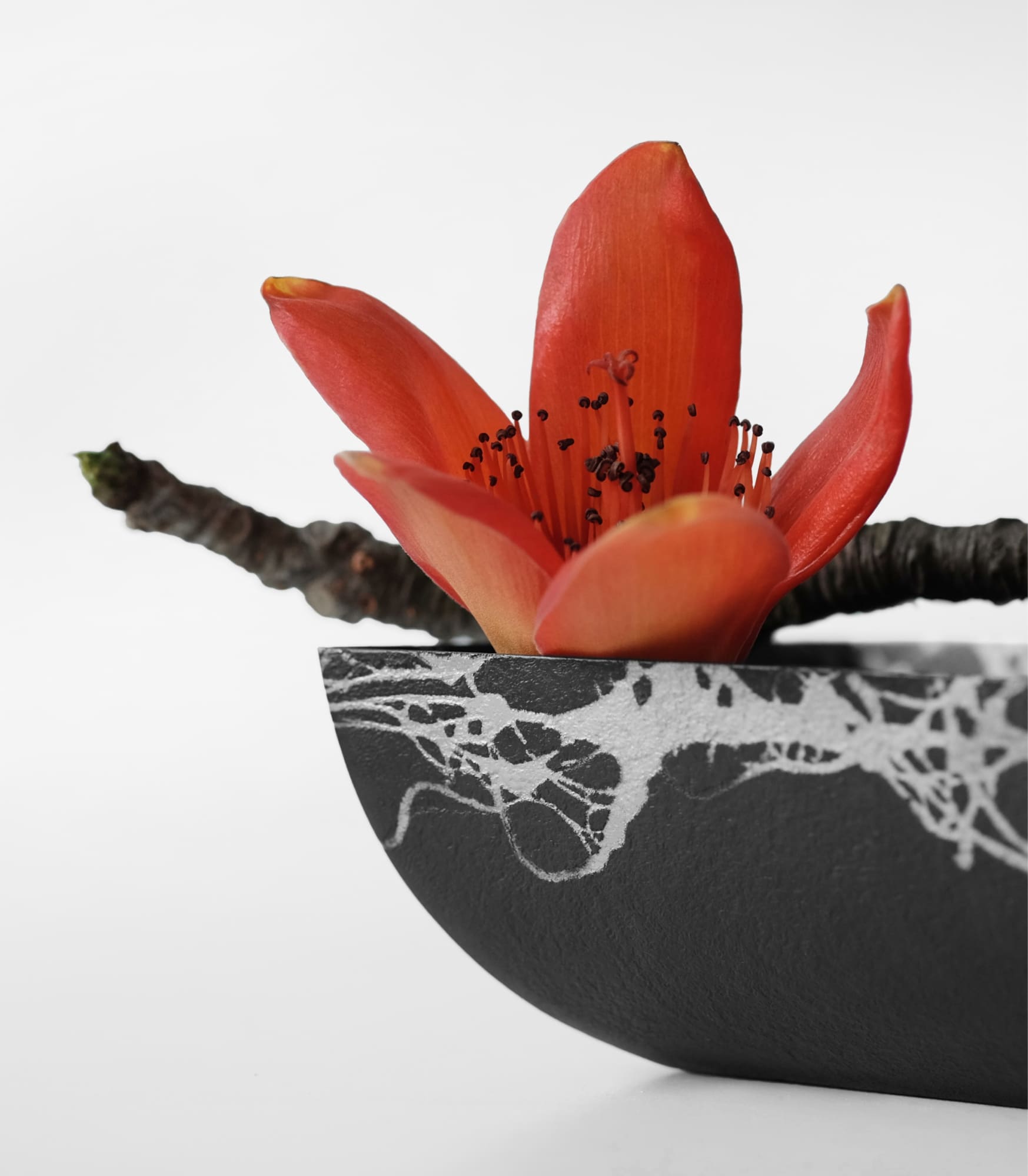 Red flower blog52x